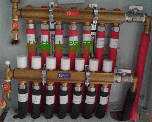 �ּ�ˮ���DƬ