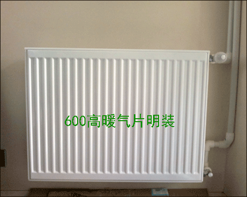 600�߷�˹��ů��Ƭ