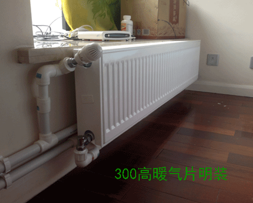 300�߷�˹��ů��Ƭ