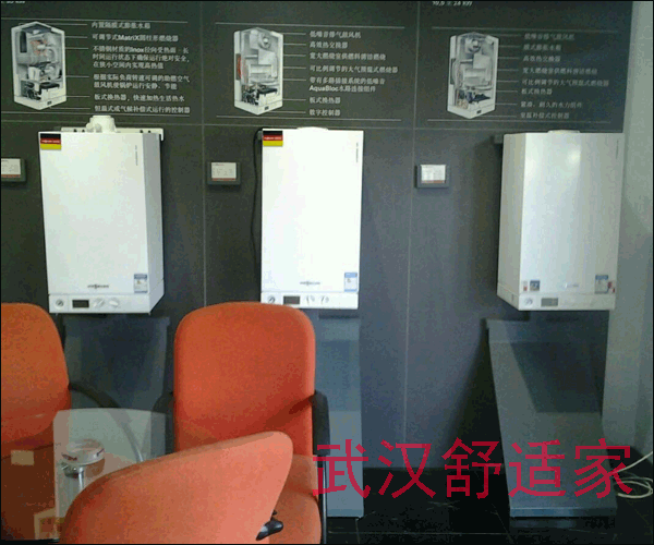 ��˹��ȼ?x��)�ڒ�tչʾ