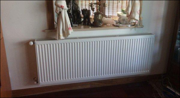 ��hů��Ƭ���b