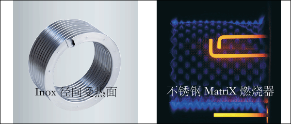 ��˹�������t���Q����