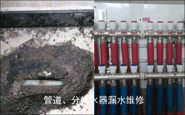 ��hů��Ƭ�S��