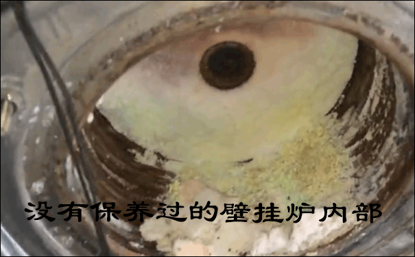 ��˹���ڒ�t��ϴ