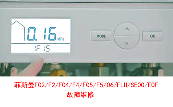 ��˹���ڒ�t�S��