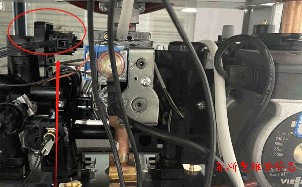 ��˹���ڒ�t�S��