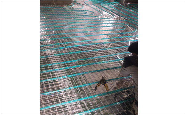 ��ů���bʩ���D