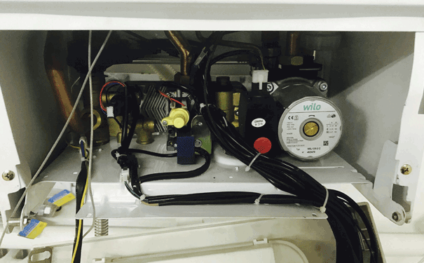 �����ڒ�t�S��