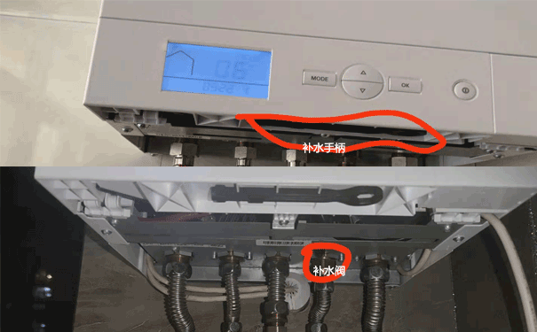  ��˹���ڒ�t��������