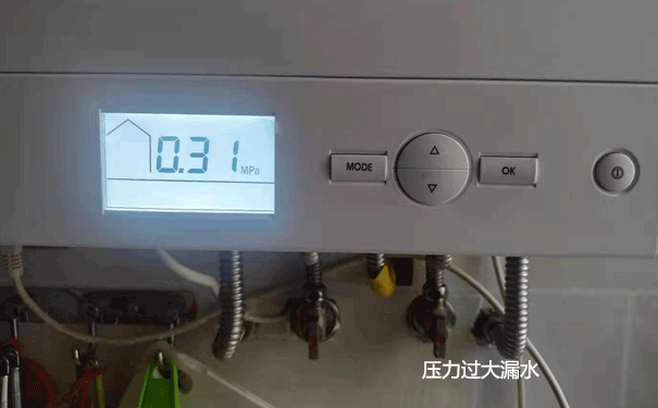 ��˹�������^��