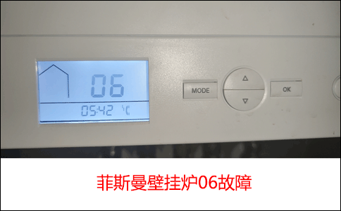 ��˹��06����