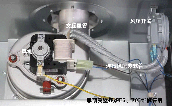 ��˹���ڒ�t�S��