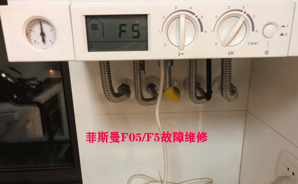 ��˹���ڒ�t�S��