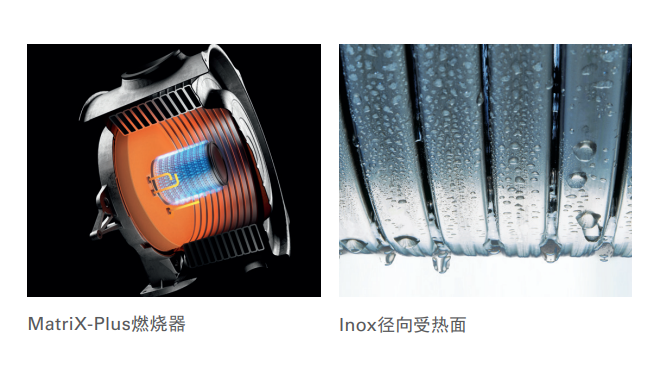 ��˹�������t