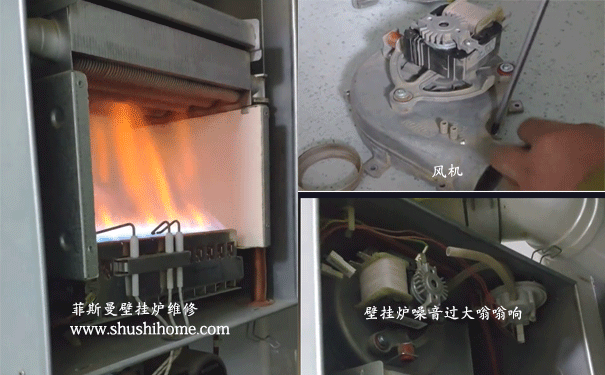 ��h��˹���ڒ�t�S��